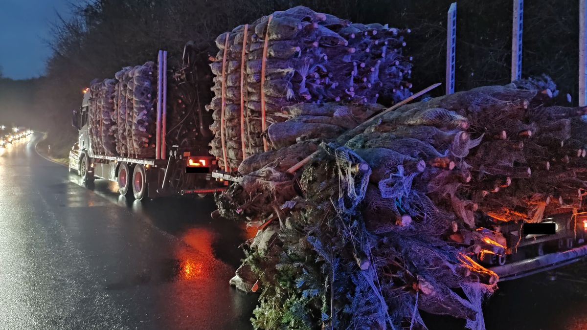 Oh, Pannenbaum! Kamion v Německu ztratil za jízdy náklad vánočních stromků